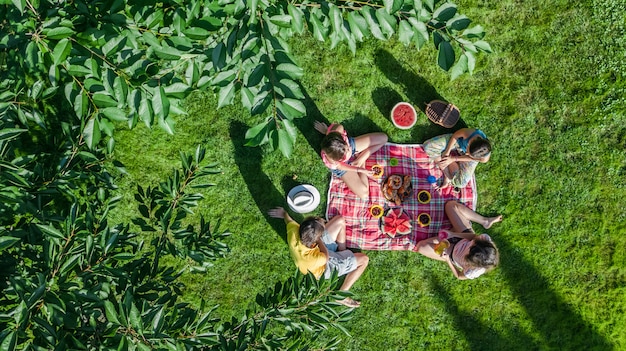 Glückliche Familie mit den Kindern, die Picknick im Park haben, Eltern mit den Kindern, die auf Gartengras sitzen und draußen gesunde Mahlzeiten essen, Luftbrummenansicht von oben, Familienurlaub und Wochenende