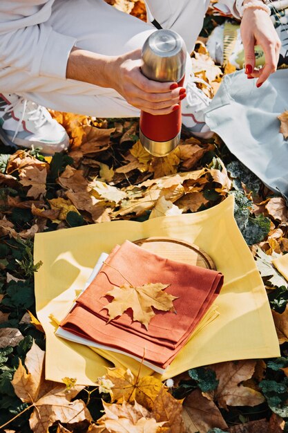 Glückliche Familienmutter und kleine Kleinkind-Tochter haben gemeinsam Spaß beim Herbstpicknick