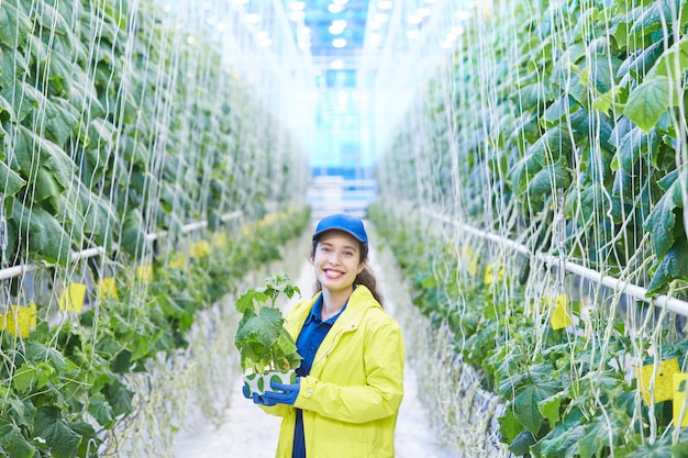 Glückliche Frau auf Gemüseplantage