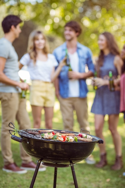 Glückliche Freunde im Park beim Grillen