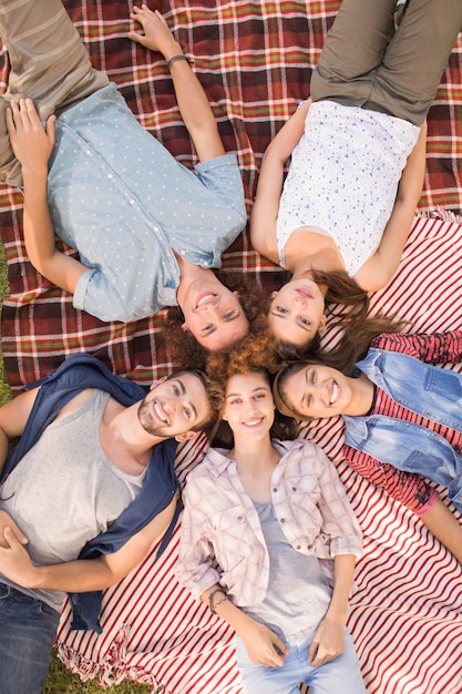 Glückliche Freunde im Park, der Picknick hat