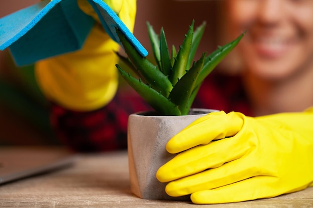 Glückliche Hausfrau mit Spray, das sich um Pflanzen in ihrem Haus kümmert