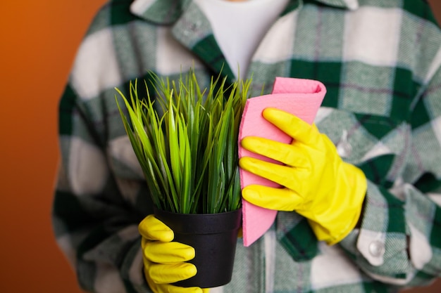 Glückliche Hausfrau mit Spray, das sich um Pflanzen in ihrem Haus kümmert