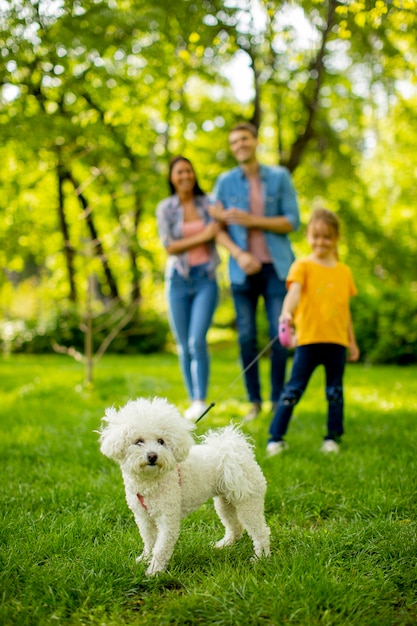 Glückliche junge Familie mit niedlichem Bichonhund im Park