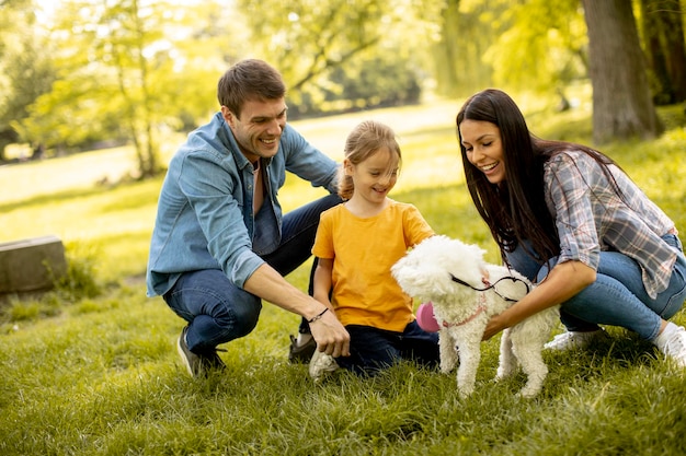 Glückliche junge Familie mit süßem Bichon-Hund im Park