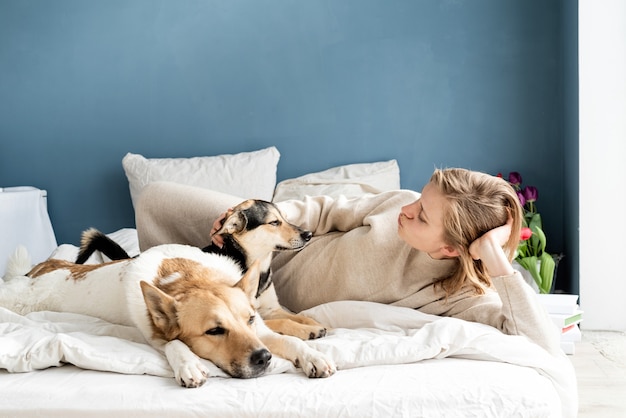 Glückliche junge Frau, die im Bett mit ihren Hunden, blauer Wandhintergrund liegt