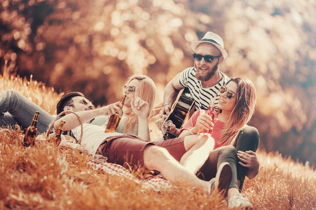 Glückliche junge Freunde, die Picknick im Park haben