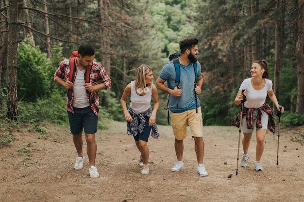 Glückliche junge Gruppe, die zusammen durch den Wald wandert