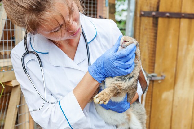 Foto glückliche junge tierarztfrau mit stethoskop, das kaninchen auf ranch hält und untersucht. hase in tierarzthänden zur kontrolle in der natürlichen öko-farm. konzept für tierpflege und ökologische landwirtschaft.