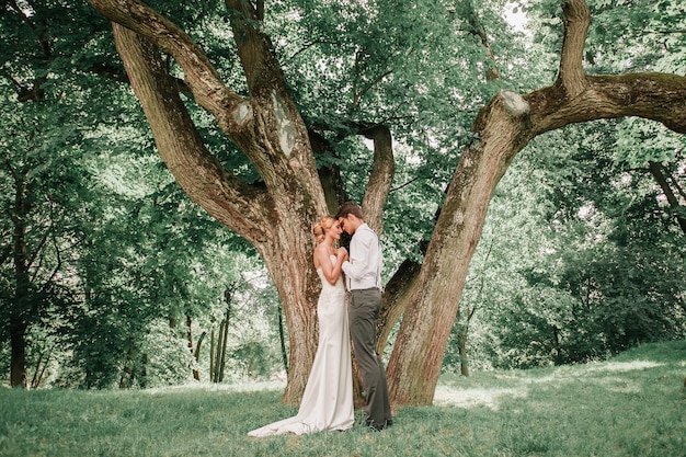 Foto glückliche jungvermählten küssen nahe einem großen sich ausbreitenden baum. romantischer moment