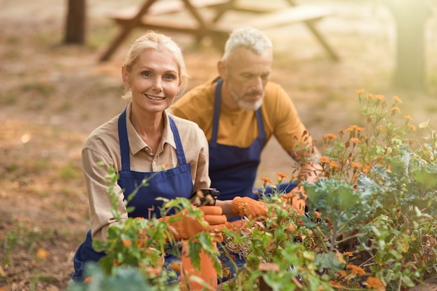 Glückliche kaukasische Ehepartner mittleren Alters, die im Garten arbeiten working