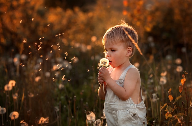 glückliche Kinder im Sommer spielen mit Löwenzahn auf dem Feld