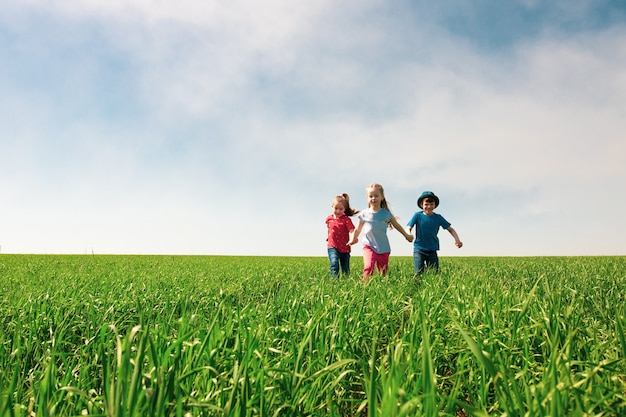 Glückliche Kinder von Jungen und Mädchen laufen an einem sonnigen Sommertag im Park auf dem Gras