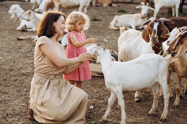 Glückliche Mutter und ihre Tochter füttern Ziegen auf einer Öko-Farm.