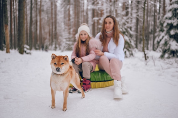 Glückliche Mutter und kleines süßes Mädchen in rosa warmer Oberbekleidung, die Spaß hat, reitet aufblasbaren Schneeschlauch