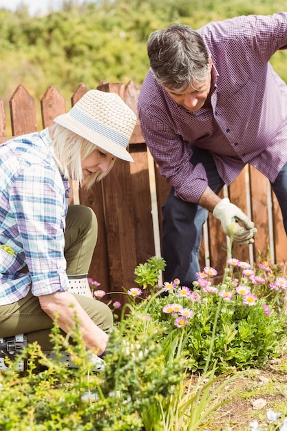 Glückliche reife Paare, die zusammen im Garten arbeiten