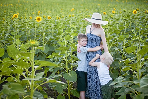 Glückliche schwangere Mutter, die zwei kleine Söhne auf einem Feld von blühenden Sonnenblumen umarmt