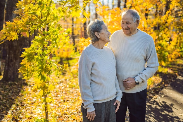 Glückliche Senioren in der Familienalterssaison im Herbstwald und Personenkonzept Glückliches Seniorenpaar, das über den Hintergrund der Herbstbäume geht