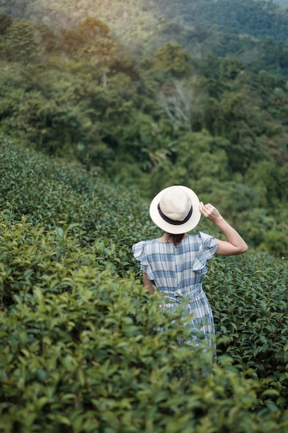 Glückliche Touristin in blauem Kleid und Hut genießen einen schönen Teegarten. Reisende, die morgens in grünen natürlichen Hügeln zu Besuch sind. reise-, urlaubs-, reise- und reisekonzept