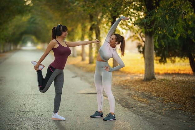 Glückliche zwei junge Frauen in Sportkleidung machen Dehnübungen entlang des sonnigen Alleenwegs.