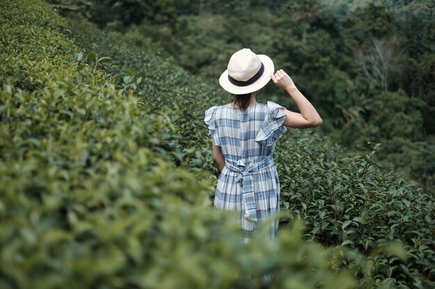 Glücklicher Frauentourist in blauem Kleid und Hut genießen schönen Teegarten. Reisender, der morgens in grünen natürlichen Hügeln besucht. Reise, Urlaub, Reise und Reisekonzept