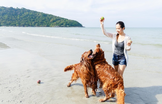 Glücklicher Golden Retriever und Besitzer genießen gemeinsam auf dem Meer Freundliche Haustiere