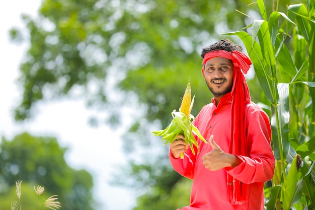 Glücklicher junger indischer Bauer, der Maisfrucht am Feld zeigt