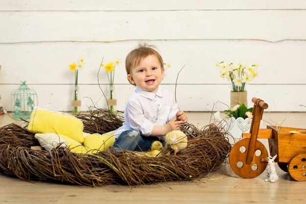 Glücklicher kleiner Junge, der im Nest mit niedlichen flauschigen Ostern Entenküken sitzt.