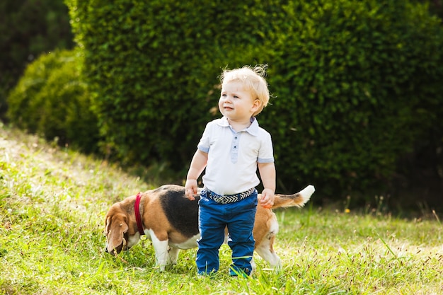 Glücklicher kleiner Junge, der mit seinem Beagle-Hund im Park spazieren geht