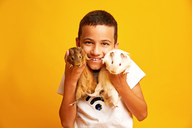 Glücklicher kleiner Junge mit netten Meerschweinchen