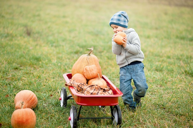 Glücklicher kleiner Kleinkindjunge auf Kürbisflecken am kalten Herbsttag