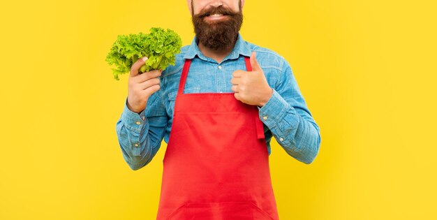 Glücklicher Mann Ernteansicht mit Daumen, der frische Blattsalate auf gelbem Hintergrund hält