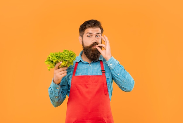 Glücklicher Mann in Schürze leckt Finger mit frischem Blattsalat auf gelbem Hintergrund Gemüsehändler