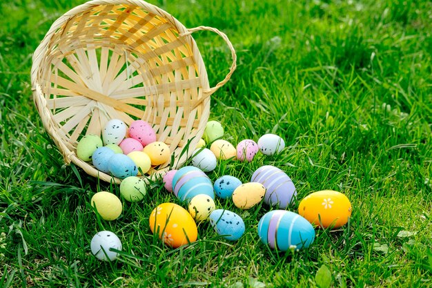 Glücklicher Osterkorb mit Ostereiern im Gras an einem sonnigen Frühlingstag Osterdekoration Banner