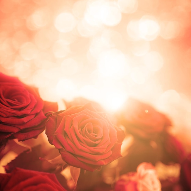 Glücklicher Valentinstag Herzlichen Glückwunsch und romantischer Hintergrund