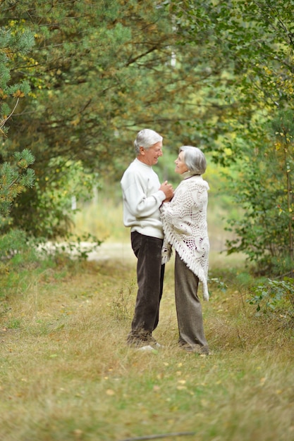 Glückliches älteres Paar, das im Herbstpark steht