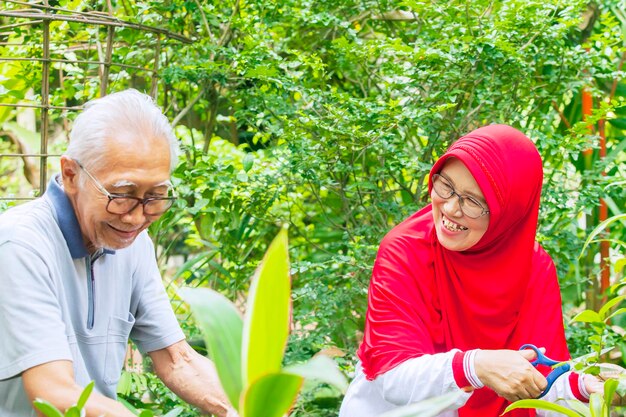 Glückliches älteres Paar, das im Hinterhof im Garten arbeitet