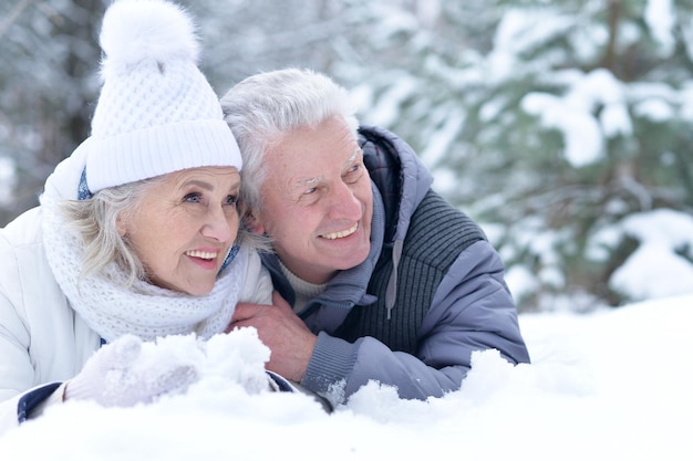 Glückliches älteres Paar, das im Winter draußen aufwirft