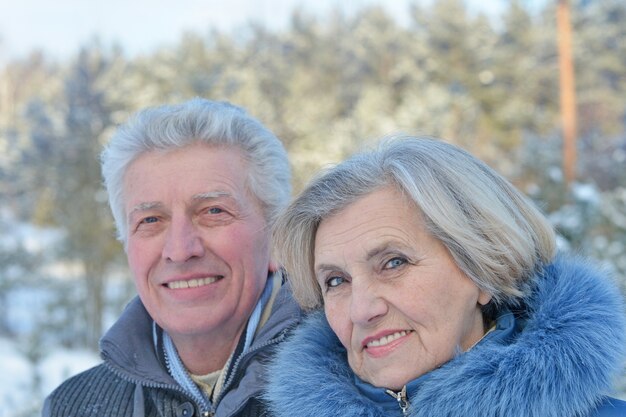 Glückliches älteres Paar, das im Winter draußen geht