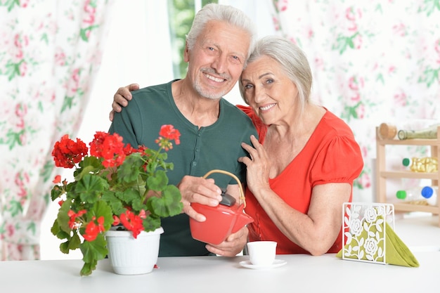 Glückliches älteres Paar, das Tee trinkt