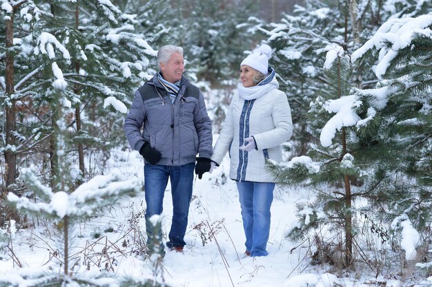 Glückliches älteres Paar hat Spaß im Winter im Freien