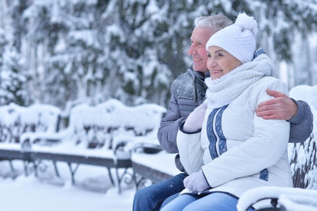 Glückliches älteres Paar lächelt und posiert, viel Spaß im Freien