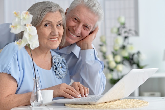 Glückliches älteres Paar mit Laptop zu Hause