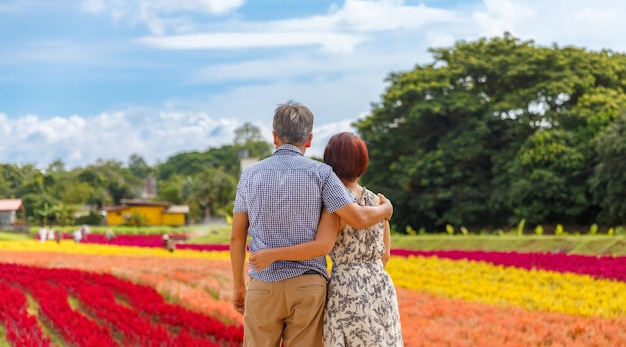 Glückliches asiatisches Rentnerehepaar entspannt im Blumengarten
