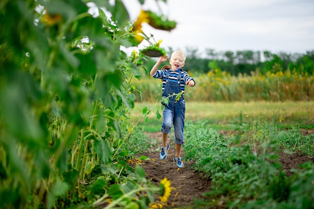 Glückliches Baby, das durch ein Feld mit Sonnenblumen im Sommer läuft, Kinderlebensstil.