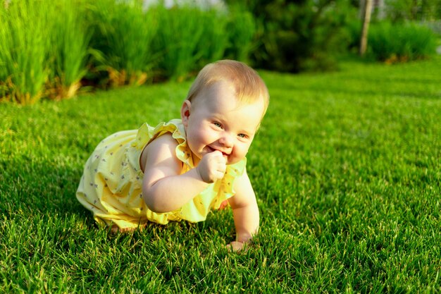 Glückliches Baby krabbelt und geht im Sommer auf dem grünen Rasen im Park