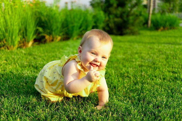 Glückliches Baby krabbelt und geht im Sommer auf dem grünen Rasen im Park