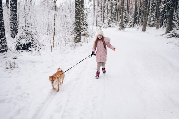 Glückliches Familienwochenende - kleines süßes Mädchen in rosa warmer Oberbekleidung, die Spaß mit rotem shiba inu Hund im schneeweißen kalten Winterwald im Freien geht