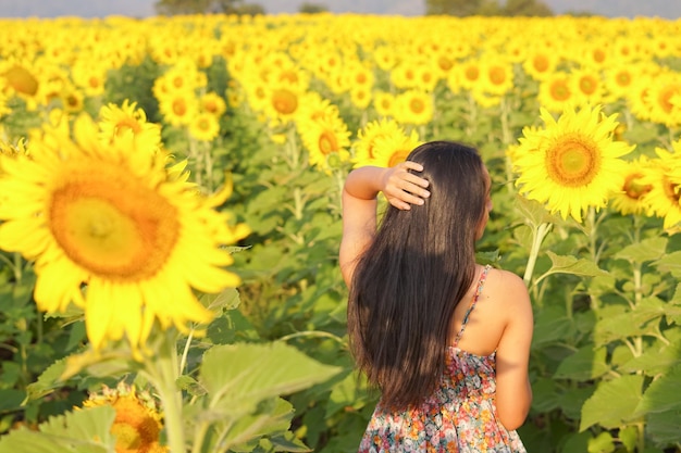 Glückliches junges Mädchen mit Sonnenblume im Sonnenblumenfeld