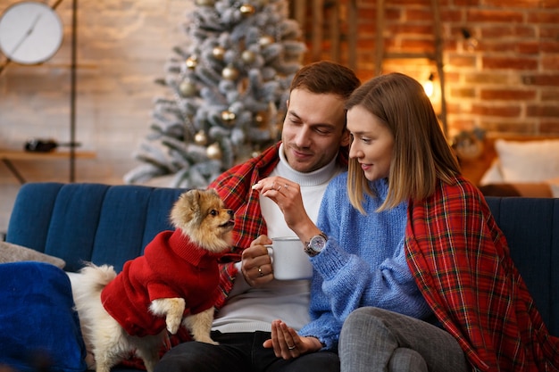 Glückliches junges Paar, das mit Pommerschen Spitzhund spielt, der nahe schönen Weihnachtsbaum zu Hause sitzt